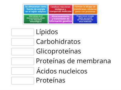 Biomoleculas 