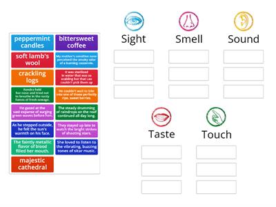 Sensory Details Sorting Activity