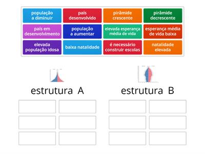 estrutura etária atividade 