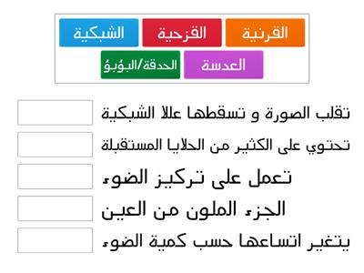 مكونات العين