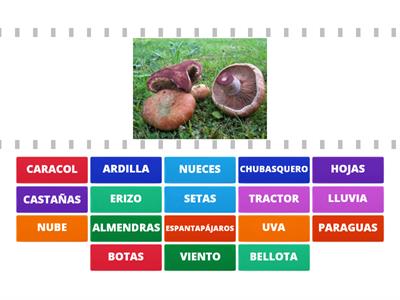 EL OTOÑO. VOCABULARIO