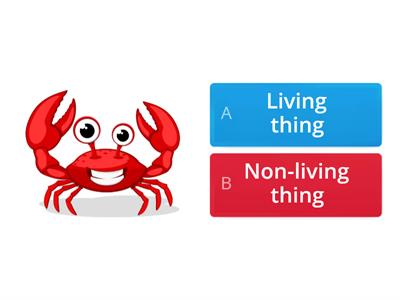 "Living and Non-Living Things" Quiz 
