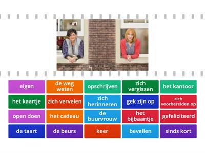 Nederlands in Gang H11 - woordenschat