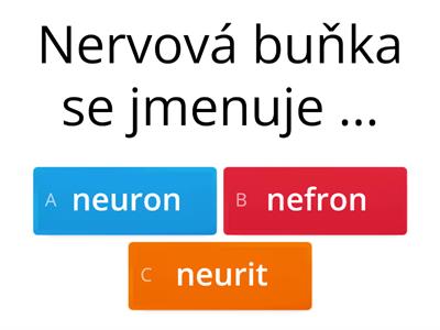 Nervová soustava