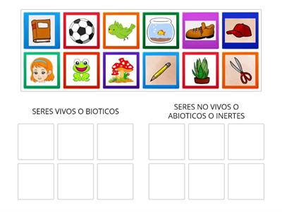 SERES VIVOS Y SERES NO VIVOS 