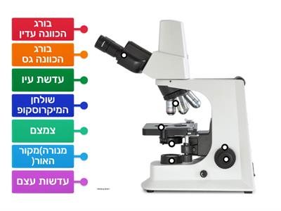 הכרת מבנה מיקרוסקופ