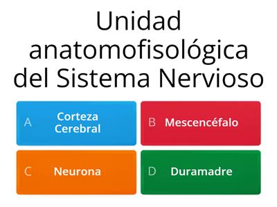 Bases de Anatomía y Fisiología II