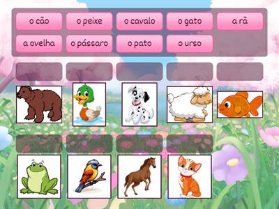 Os animais do Livro "Urso Castanho"