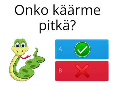 Käsitteiden ymmärtäminen kysymyksissä