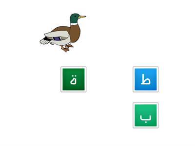 نشاط لطلاب الصف الاول الاساسي لمادة اللغة العربية ترتيب الاحرف