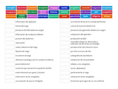 Terminología aparato digestivo parte 2