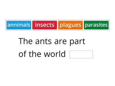 Noun + Are + Noun: Plural