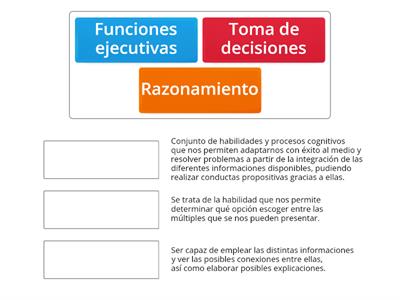 FUNCIONES EJECUTIVAS DEL CEREBRO HUMANO  