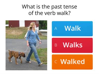 simple past regular verbs 