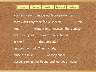 11.3- human tissues / activity 9 /fill the gabs