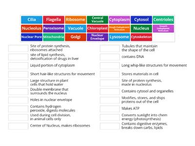 Organelles