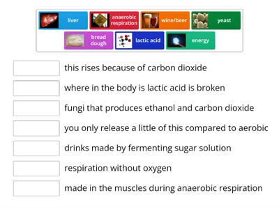 Anaerobic Respiration