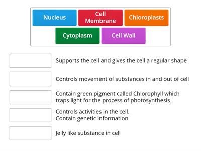 Cell Part