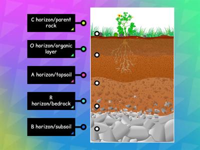 Layres of the soil