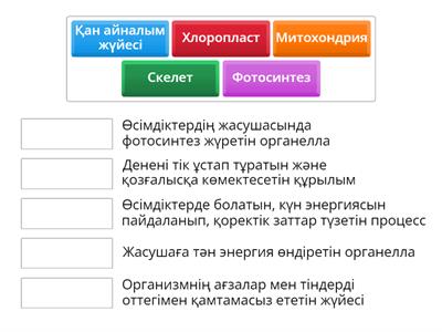 Сәйкестендіру