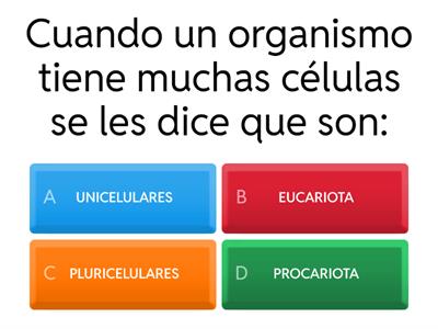 EVALUACIÓN TRIMESTRAL - I MEDIA - 2024