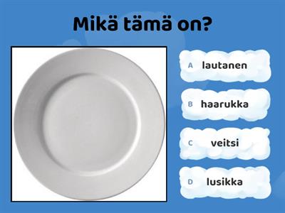 Ruokailuvälineet