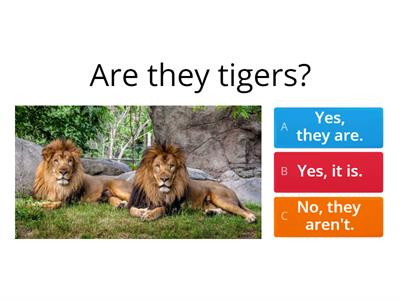 Zoo animals questions