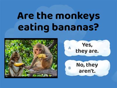 Grade 4 Unit 5 a naughty monkey Lesson 3 grammar