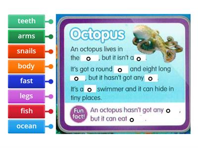 AS 3 - Unit 6 - Lesson 2: the octopus