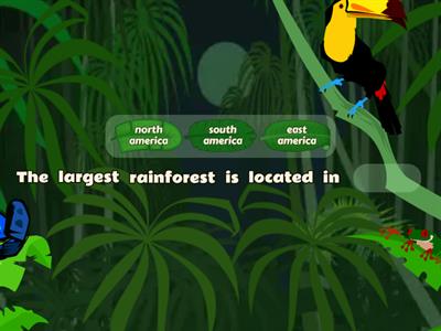 Amazon rainforest wordwall by anmerie