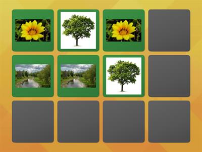 Features of Nature- Matching Tiles