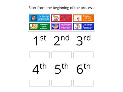 The Digestive System Process CLIL RO2