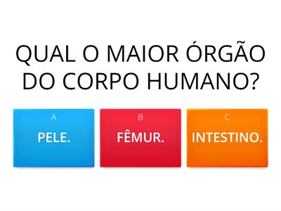  A PELE HUMANA