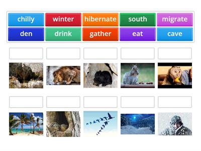 Hibernation Vocabulary 