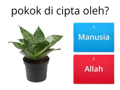 Ciptaan Allah 