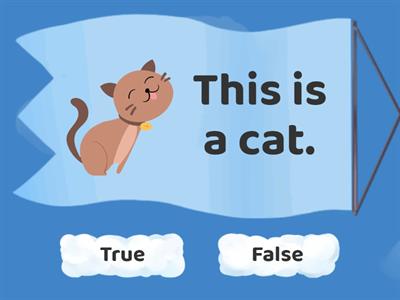2.8. Pets - True / False