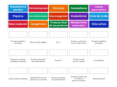 Metabolismo y otras cosas :V