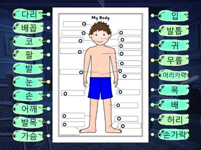 Parts of the body Korean