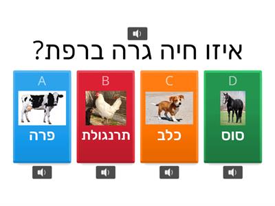 משחק - איפה גרות החיות?