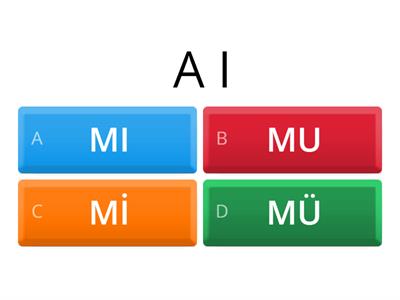 YES/ NO QUESTION - SORU EKİ MI Mİ MU MÜ 