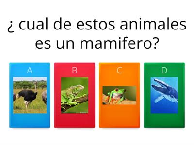 Los animales mamiferos