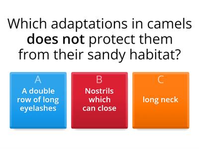 KS2 Science