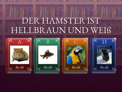 Tyska6: Husdjur och färger 