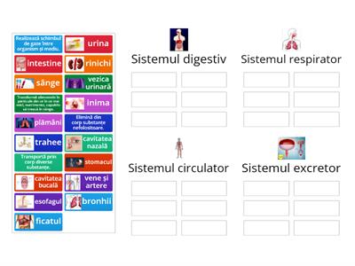 Sisteme de organe