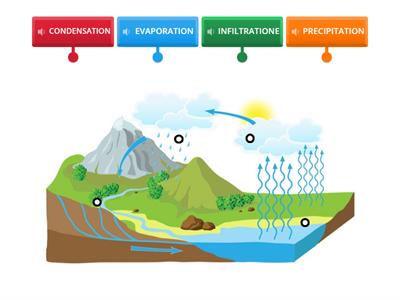  - WATER CYCLE
