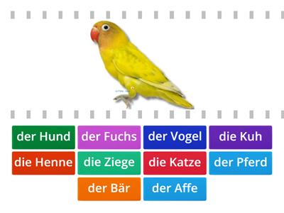 Zvířata - němčina 7. ročník
