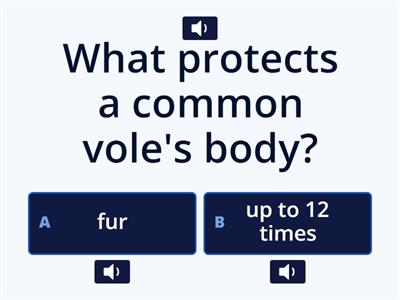 Nature and science for children 4/The common vole/Questions