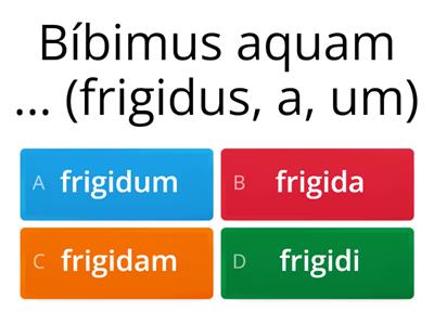 Adjektiva 1. a 2. dekl.