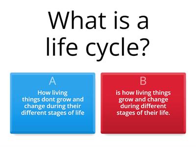 life cycle