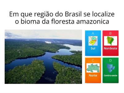 localização dos biomas brasileiros